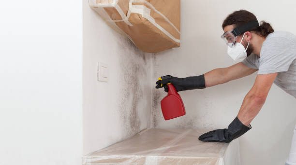 Professional Bathroom Mold Removal technician working in West Palm Beach, FL